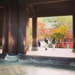 【2020京都紅葉最新】洛東の名所パトロール☆南禅寺界隈～哲学の道【６スポット】