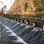 【京都ぶらり】水力発電の遺構や分水ポイントも☆四季折々の風景富む「蹴上疏水公園」