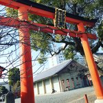 【京都神社めぐり】お酒の神様の御祭では御神輿祀る「松尾大社 西七条御旅所」
