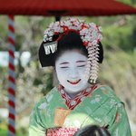 【北野天満宮】梅苑が1月末に開苑♪節分祭や梅花祭などの２月の祭事は、ほぼ中止や一般拝観不可に