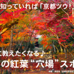 今年の秋は“３つの密”を避けて、ゆったりと穴場で「紅葉」を愉しもう！
