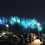 【京都癒し】オーロラ的竹林ライトアップ露天風呂＆サウナロウリュ「竹取温泉 灯りの湯」