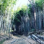 【京都史跡】登山感覚で訪れたい！京大桂キャンパス裏の幻の山城跡「峰ヶ堂城址」