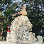 【京都珍狛】『狛鳩』あり境内は鳩だらけ！歌舞伎 市川團十郎ゆかり「三宅八幡宮」