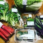 【京都野菜】春の山菜も登場！週末イベントでは有名料理研究家も「里の駅大原」