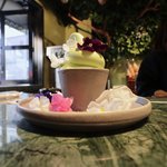 巷で話題の蘭のソフトクリーム☆カフェのあるフラワーショップ「Maestro (マエストロ）京都」【御所南】