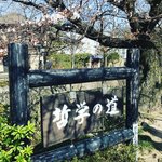 【2021京都花めぐり】観光名所の季節の花々開花情報☆南禅寺～哲学の道～法然院
