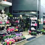 【京都花】大切な人に花束を☆華道家元御用達・いけばな発祥地前の老舗「花市商店」