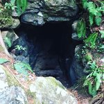 【京都ぶらり】登山感覚で訪れたい！名所『苔寺』裏山の石室群「西芳寺川古墳群」
