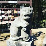 【京都珍狛】ネコ好き必訪！日本唯一の狛猫☆しかも子猫同伴「金刀比羅神社」