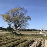 【京都ぶらり】稲作発祥地と伝わる水田史跡☆豊受大神ゆかり『清水戸』も「月の輪田」