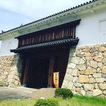 【京都ぶらり】大河ドラマ『麒麟がくる』登場の戦国武将・細川藤孝築城「田辺城跡」
