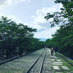 【京都ぶらり】緑潤うシーズンに新緑パトロール☆蹴上インクライン～南禅寺～永観堂