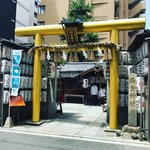 【京都神社】長引くコロナ禍に金運祈願！黄金鳥居のパワースポット「御金神社」
