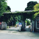 【京都ぶらり】和洋折衷☆旧帝大の大正レトロ建築「京都大学農学部正門及び門衛所」