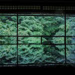 【京都青もみじ2021】緑の世界が美しい「瑠璃光院」春の拝観【人気スポット】