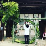 【京都ぶらり】珍しい夏越の祓『茅の輪』づくり風景も☆桜の名所「平野神社」