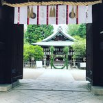 【京都ぶらり】夏越大祓茅の輪登場☆東京五輪直前祈願も！スポーツ守護神「白峯神宮」