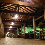 【ライトアップ】もみじの名所「東福寺」で過ごす涼しい京都の夜