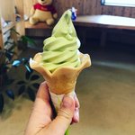 【京都市場】抹茶スイーツ充実☆マニアックガチャや新鮮野菜豊富「あやべ特産館」