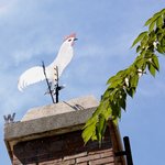 45年の歴史を見守ってきた風見鶏☆老舗喫茶店「再會」【京都・山科】