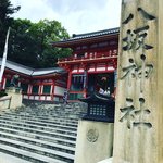 【2021京都祇園祭】厄除けちまき授与中☆一面杉葉の『杉手水』も話題「八坂神社」