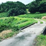 【京都ぶらり】大河ドラマ『麒麟がくる』で注目☆徳川家康の逃亡路「伊賀越えの道」