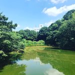 【京都ぶらり】住宅街に濠跡も残る京都府南部最大級の前方後円墳「二子塚古墳」