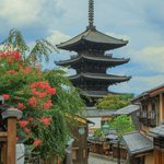 【京都花めぐり】京都の風情を存分に。八坂の塔・知恩院･三条大橋の『サルスベリ』