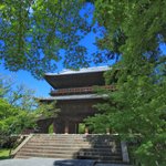 【南禅寺】古都の雅やかな夏の情景。穴場的な蓮池、壮大な三門と水路閣、青もみじ【京都花めぐり】