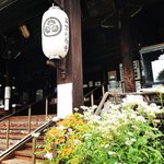 【京都の花】毎年恒例『藤袴祭』一部開催☆銭湯では今月26日藤袴湯も「革堂行願寺」