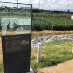 【京都宇治】戦国武将・豊臣秀吉ファン必見☆お茶と宇治のまち史跡公園「宇治川太閤堤跡」