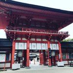 【2021京都紅葉】原生林『糺の森』は長期間楽しめるスポット☆世界遺産「下鴨神社」