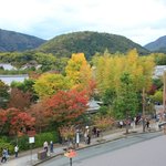 【嵐山】嵐電 嵐山駅にある絶景穴場カフェ「たんたんいちごかふぇ」