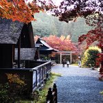 【2021京都紅葉】洞窟もある穴場最強パワースポット『京のお伊勢さん』「日向大神宮」