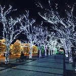 【2021京都イルミネーション】見慣れた風景を幻想的に彩る冬の風物詩「京セラ本社」