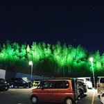 【京都温泉】お湯が新鮮☆サウナ外気浴は竹林ライトアップで整う「竹取温泉灯りの湯」