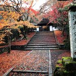 【2021京都紅葉最終】今シーズン見納め☆南禅寺～永観堂～哲学の道～安楽寺～法然院