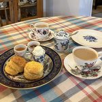 【京都カフェ】ヴィンテージマンションの半地下カフェ『botanic coffee kyoto』