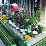 【京都初詣】お正月の装い『花手水』や早咲きの梅も☆受験生の守護神「北野天満宮」