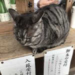 【京都ぶらり】にゃんこ好き必訪の通称『ネコ神社』☆日本三大酒神の一つ「梅宮大社」