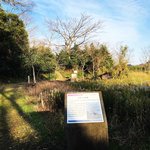 【海の京都】日本昔話『浦島太郎』の玉手箱を開けるクライマックスシーンはここで！？