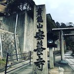 【京都ぶらり】世界的文豪・村上春樹ゆかりのお寺☆南禅寺やインクラインすぐ「安養寺」