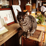 【スーパー猫の日】京都オススメの看板ネコ☆世界的人気カフェ～猫神社まで【厳選６件】