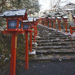【冬の京都を訪ねて】定番の美しい雪景色を堪能「貴船神社」