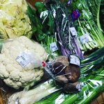 【京都食材】京野菜やレアなイタリア野菜も☆サウナ付日帰り温泉併設「じねんと市場」