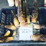 【京都ぶらり】ケンミンショーでも紹介☆京野菜・春の味覚タケノコ発祥のお寺「寂照院」