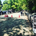 【京都ぶらり】『藤森祭』開催中！新緑駆け抜ける駈馬神事も☆必勝の神様「藤森神社」