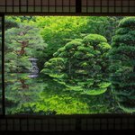 【特別公開】3年ぶりの5月公開、新緑が美しい庭園と文化財を堪能「旧邸御室」【登録有形文化財】