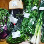【京都市場】行列必至の人気市場☆料理人御用達の産直京野菜やレア食材「里の駅大原」